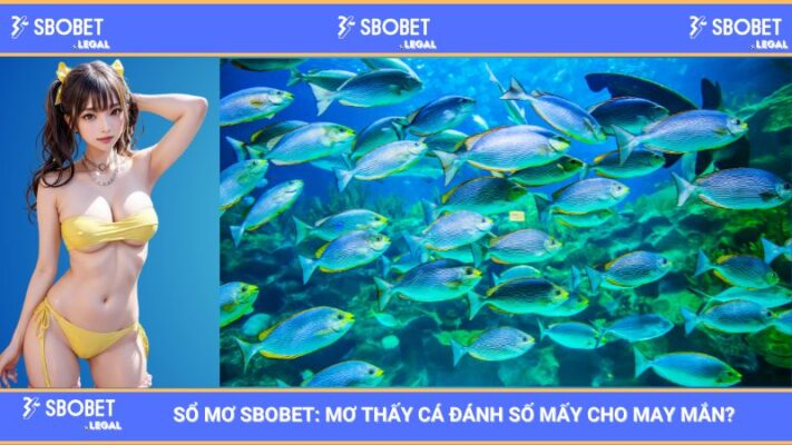 Sổ mơ SBOBET: Mơ thấy cá đánh số mấy cho may mắn? 